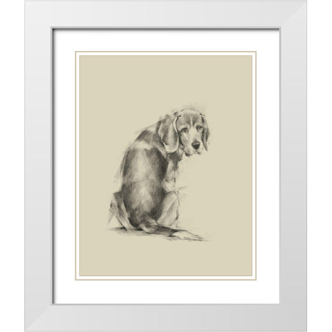 Puppy Dog Eyes I White Modern Wood Framed Art Print with Double Matting by Harper, Ethan
