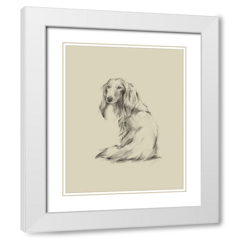 Puppy Dog Eyes II White Modern Wood Framed Art Print with Double Matting by Harper, Ethan