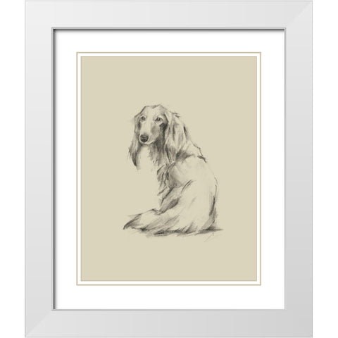 Puppy Dog Eyes II White Modern Wood Framed Art Print with Double Matting by Harper, Ethan