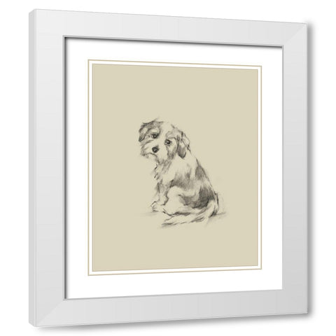 Puppy Dog Eyes III White Modern Wood Framed Art Print with Double Matting by Harper, Ethan