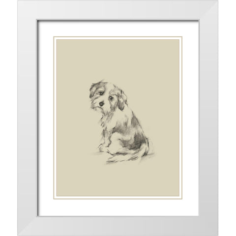 Puppy Dog Eyes III White Modern Wood Framed Art Print with Double Matting by Harper, Ethan
