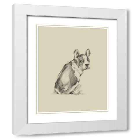 Puppy Dog Eyes IV White Modern Wood Framed Art Print with Double Matting by Harper, Ethan
