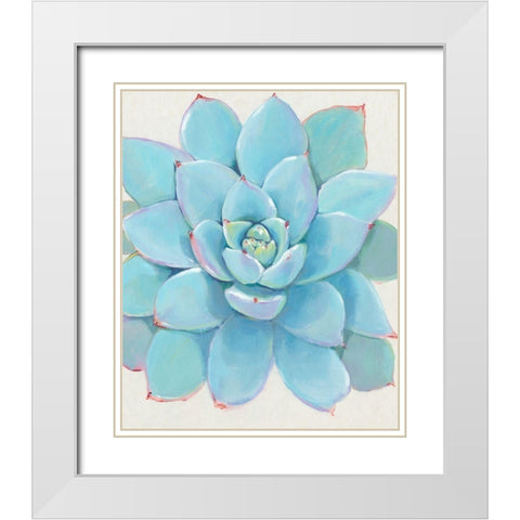 Pastel Succulent I White Modern Wood Framed Art Print with Double Matting by OToole, Tim
