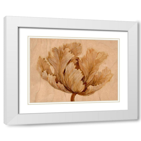 Sepia Tulip on Birch I White Modern Wood Framed Art Print with Double Matting by OToole, Tim