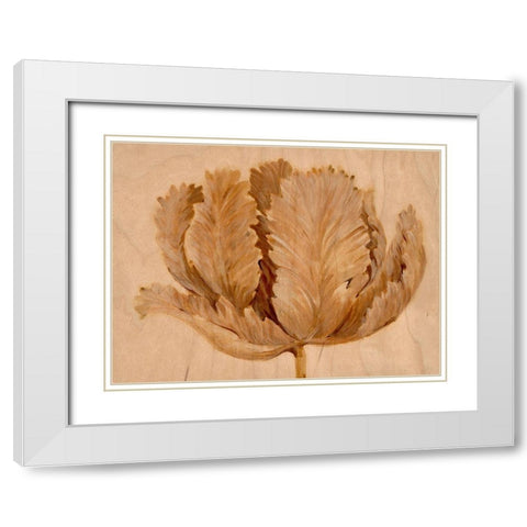 Sepia Tulip on Birch II White Modern Wood Framed Art Print with Double Matting by OToole, Tim