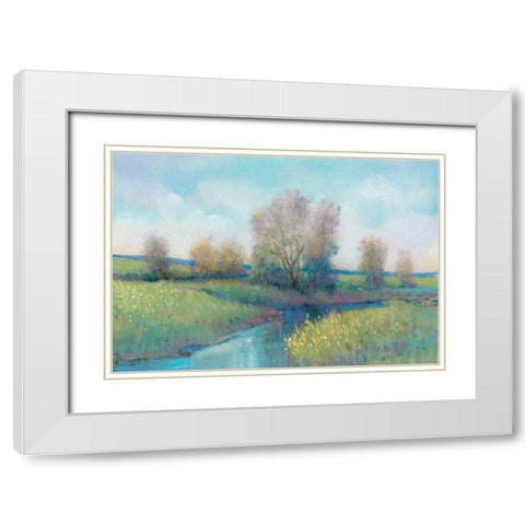 Hidden Stream I White Modern Wood Framed Art Print with Double Matting by OToole, Tim