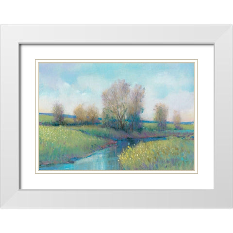 Hidden Stream I White Modern Wood Framed Art Print with Double Matting by OToole, Tim