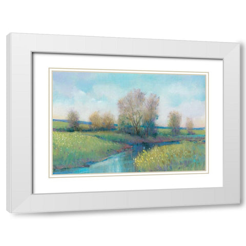 Hidden Stream I White Modern Wood Framed Art Print with Double Matting by OToole, Tim
