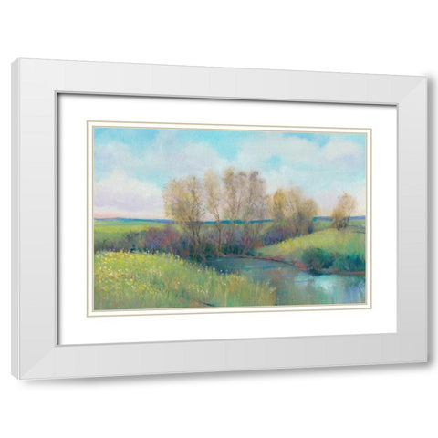 Hidden Stream II White Modern Wood Framed Art Print with Double Matting by OToole, Tim