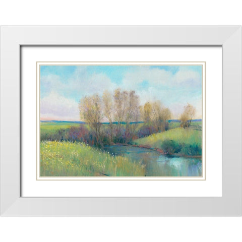 Hidden Stream II White Modern Wood Framed Art Print with Double Matting by OToole, Tim