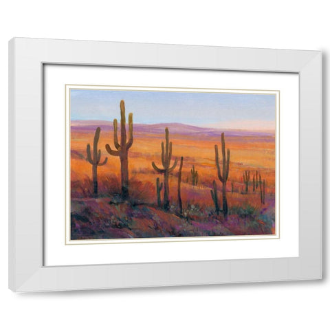 Desert Light I White Modern Wood Framed Art Print with Double Matting by OToole, Tim