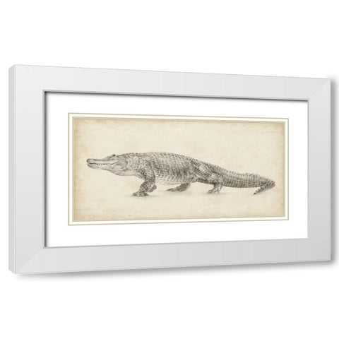 Alligator Sketch White Modern Wood Framed Art Print with Double Matting by Harper, Ethan