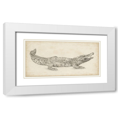 Crocodile Sketch White Modern Wood Framed Art Print with Double Matting by Harper, Ethan