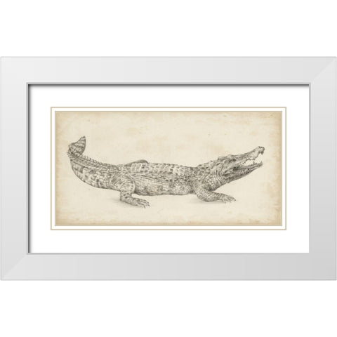 Crocodile Sketch White Modern Wood Framed Art Print with Double Matting by Harper, Ethan