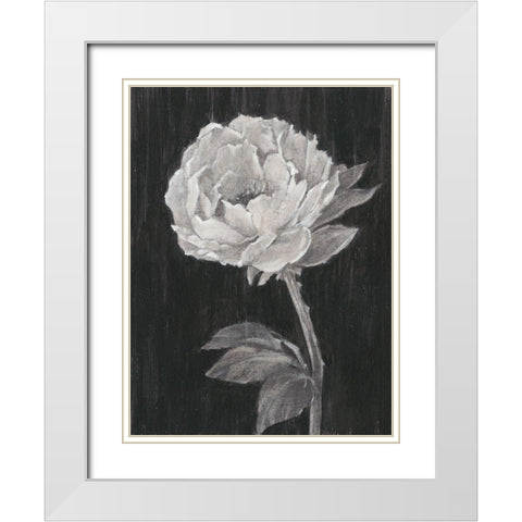 Black and White Flowers II White Modern Wood Framed Art Print with Double Matting by Harper, Ethan