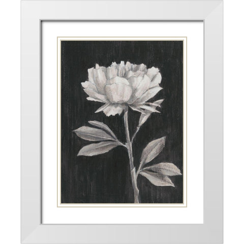 Black and White Flowers III White Modern Wood Framed Art Print with Double Matting by Harper, Ethan