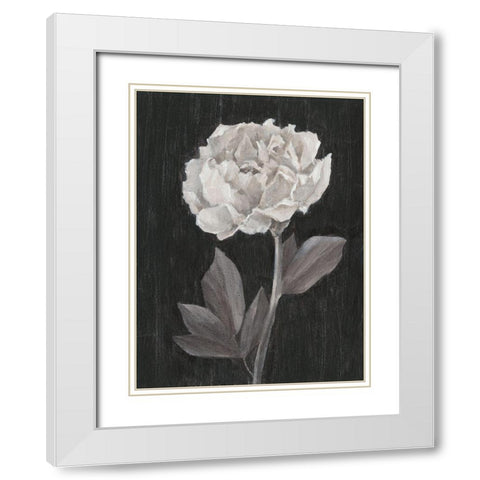 Black and White Flowers IV White Modern Wood Framed Art Print with Double Matting by Harper, Ethan