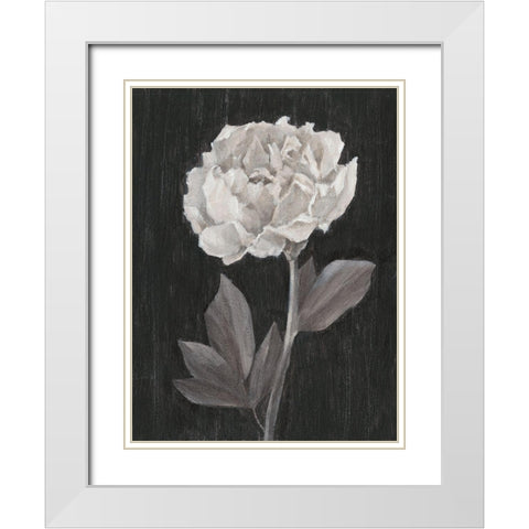 Black and White Flowers IV White Modern Wood Framed Art Print with Double Matting by Harper, Ethan