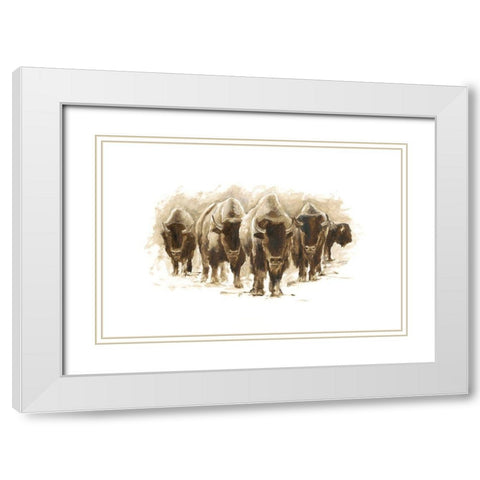Herd of Bison I White Modern Wood Framed Art Print with Double Matting by Harper, Ethan