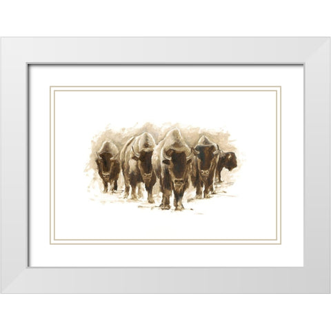 Herd of Bison I White Modern Wood Framed Art Print with Double Matting by Harper, Ethan