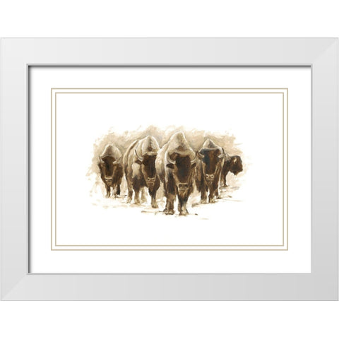 Herd of Bison I White Modern Wood Framed Art Print with Double Matting by Harper, Ethan