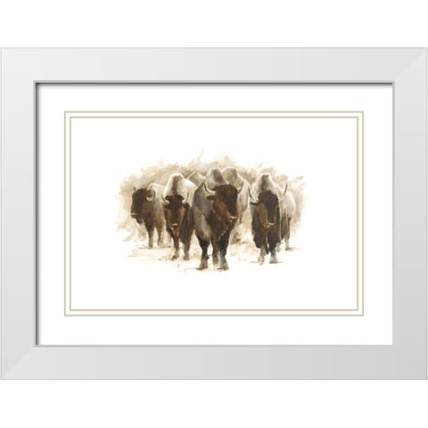 Herd of Bison II White Modern Wood Framed Art Print with Double Matting by Harper, Ethan