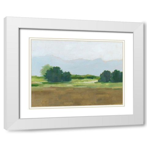 Viridian Shade II White Modern Wood Framed Art Print with Double Matting by Harper, Ethan