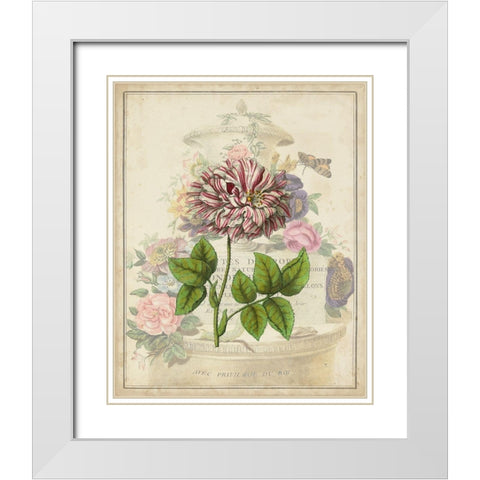 Vintage Rose Bookplate White Modern Wood Framed Art Print with Double Matting by Vision Studio