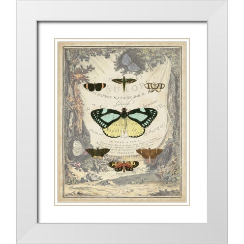 Vintage Butterfly Bookplate White Modern Wood Framed Art Print with Double Matting by Vision Studio