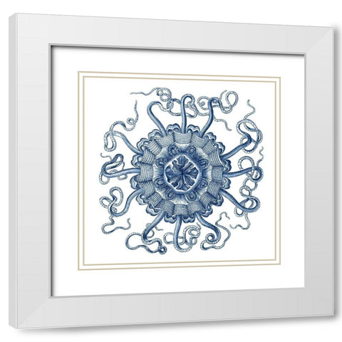 Navy Ocean Gems II White Modern Wood Framed Art Print with Double Matting by Vision Studio