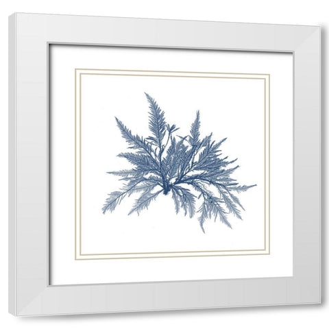 Navy Seaweed V White Modern Wood Framed Art Print with Double Matting by Vision Studio