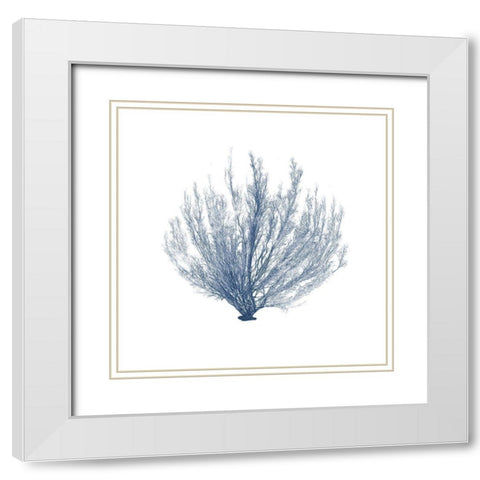 Navy Seaweed VI White Modern Wood Framed Art Print with Double Matting by Vision Studio