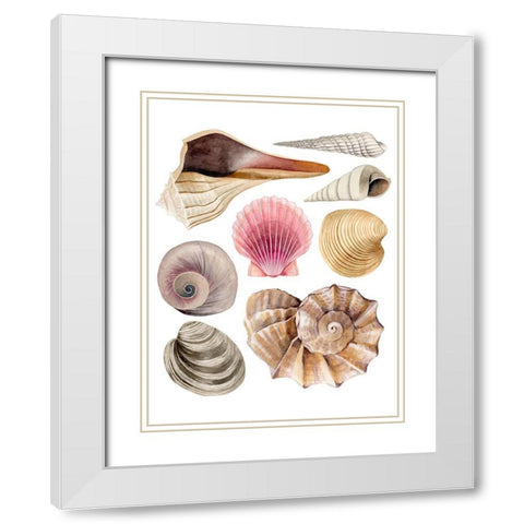 Sea Souvenirs I White Modern Wood Framed Art Print with Double Matting by Popp, Grace
