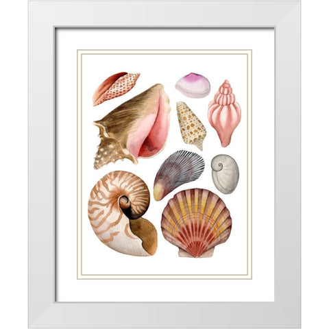 Sea Souvenirs II White Modern Wood Framed Art Print with Double Matting by Popp, Grace