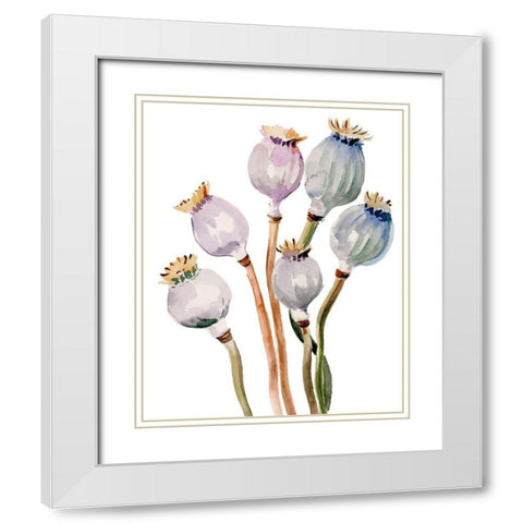 Watercolor Poppy Pods I White Modern Wood Framed Art Print with Double Matting by Parker, Jennifer Paxton