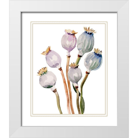 Watercolor Poppy Pods I White Modern Wood Framed Art Print with Double Matting by Parker, Jennifer Paxton