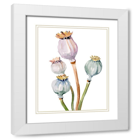 Watercolor Poppy Pods II White Modern Wood Framed Art Print with Double Matting by Parker, Jennifer Paxton