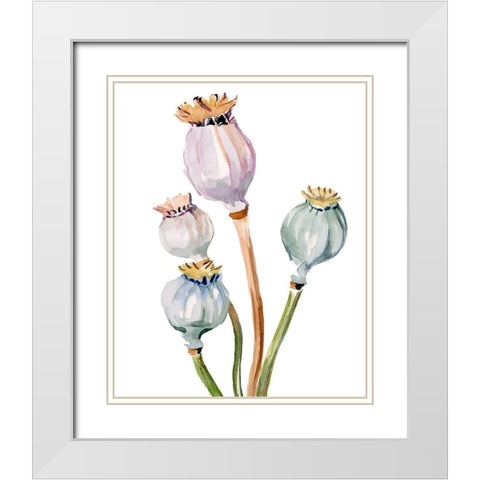 Watercolor Poppy Pods II White Modern Wood Framed Art Print with Double Matting by Parker, Jennifer Paxton