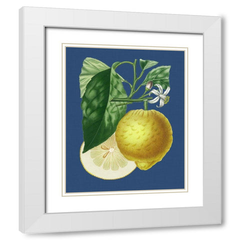 French Lemon on Navy I White Modern Wood Framed Art Print with Double Matting by Risso, A.