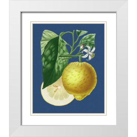 French Lemon on Navy I White Modern Wood Framed Art Print with Double Matting by Risso, A.