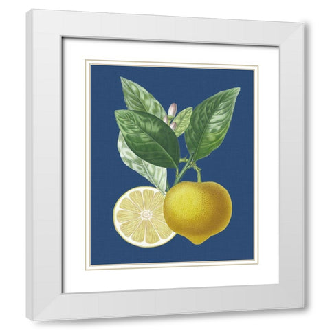 French Lemon on Navy II White Modern Wood Framed Art Print with Double Matting by Risso, A.