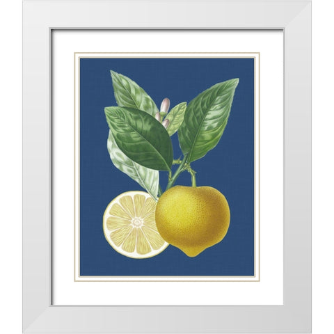 French Lemon on Navy II White Modern Wood Framed Art Print with Double Matting by Risso, A.