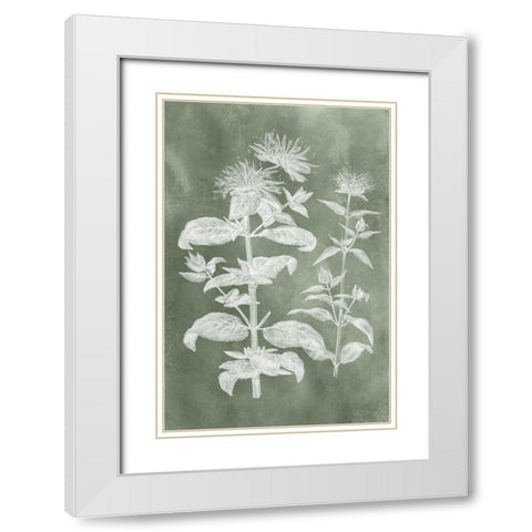 Sage Impressions III White Modern Wood Framed Art Print with Double Matting by Vision Studio