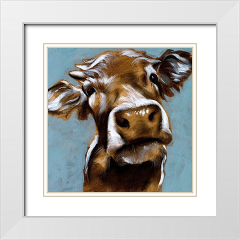 Cow Kisses I White Modern Wood Framed Art Print with Double Matting by Parker, Jennifer Paxton