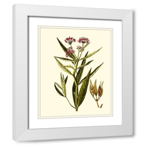 Olive Greenery VIII White Modern Wood Framed Art Print with Double Matting by Unknown