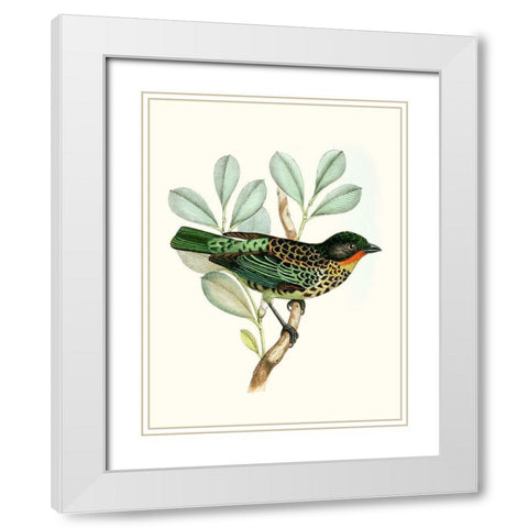 On Perch I White Modern Wood Framed Art Print with Double Matting by Unknown