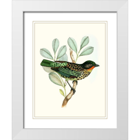 On Perch I White Modern Wood Framed Art Print with Double Matting by Unknown