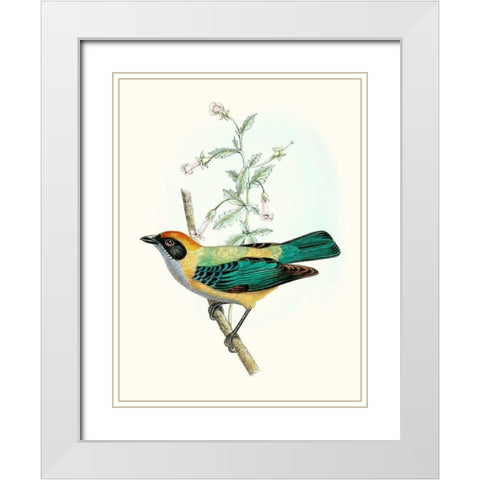 On Perch II White Modern Wood Framed Art Print with Double Matting by Unknown