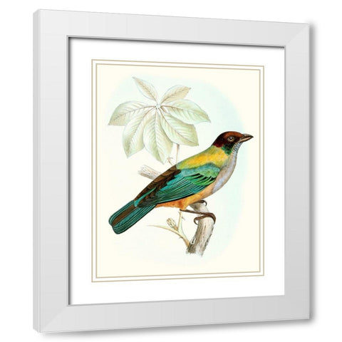 On Perch III White Modern Wood Framed Art Print with Double Matting by Unknown