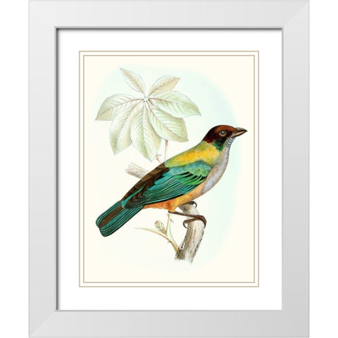 On Perch III White Modern Wood Framed Art Print with Double Matting by Unknown